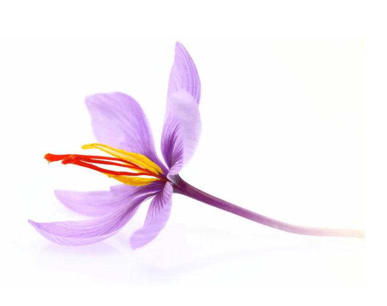 Serena curso aromaterapia emocionalOLLLLLLBORRAR 2 azafran